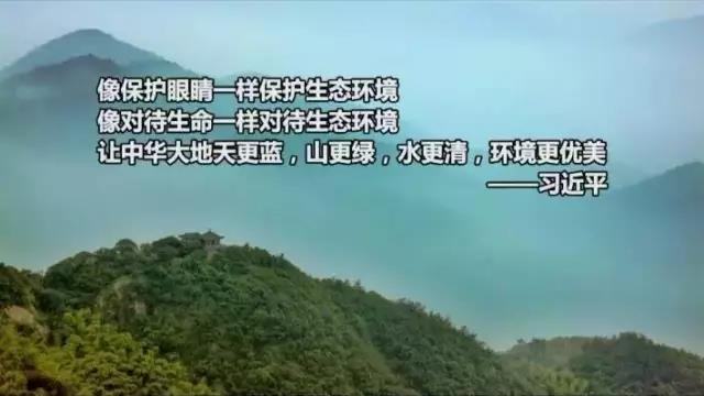 香港宝典正版资料