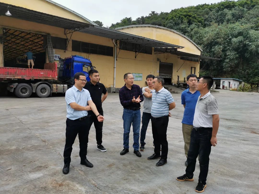 香港宝典正版资料