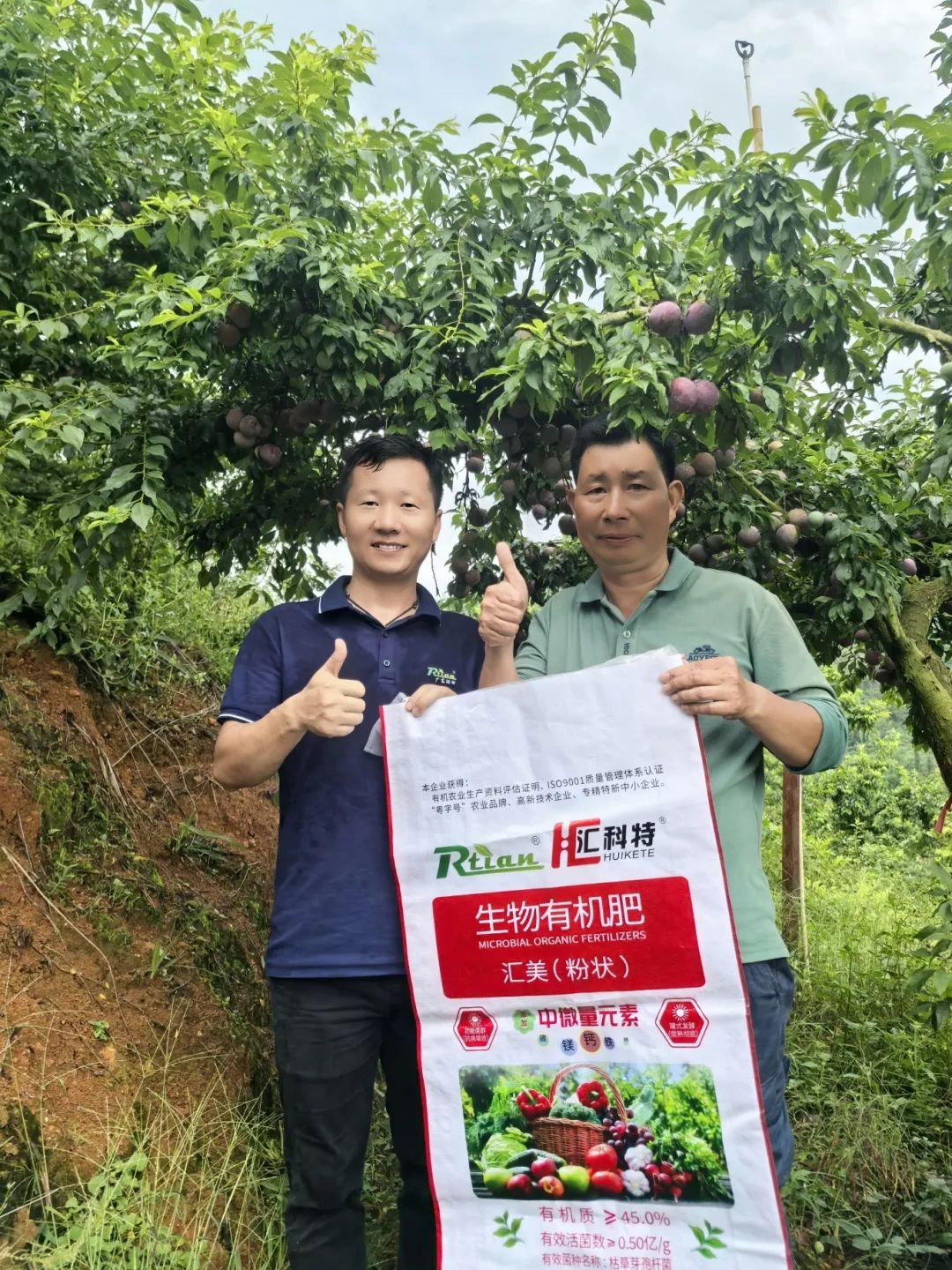香港宝典正版资料