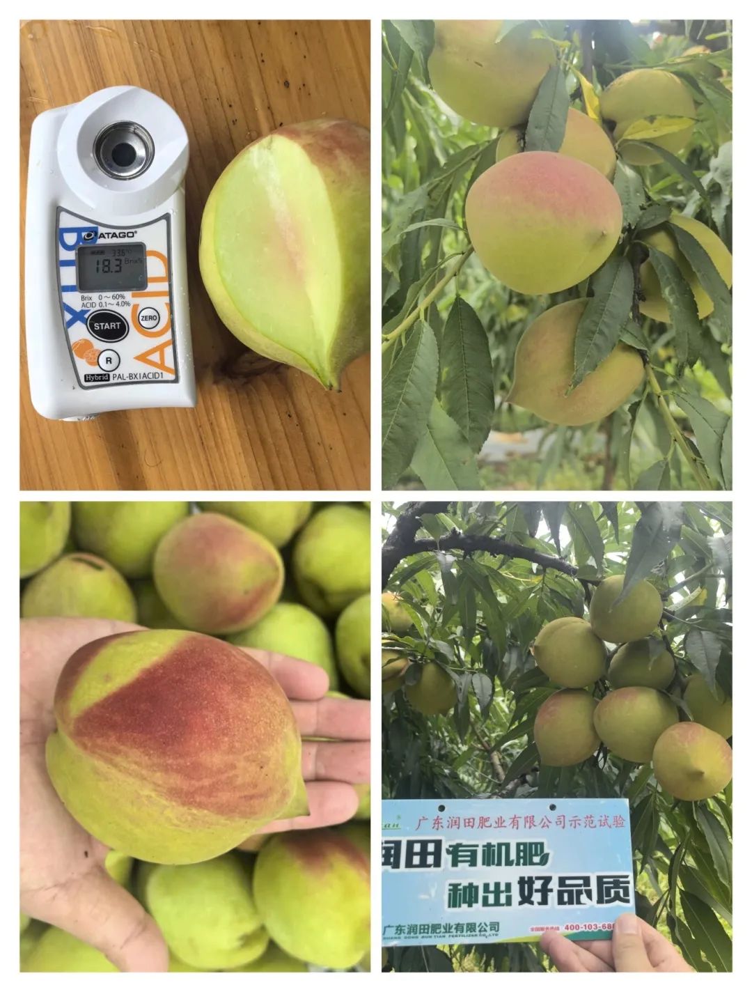 香港宝典正版资料