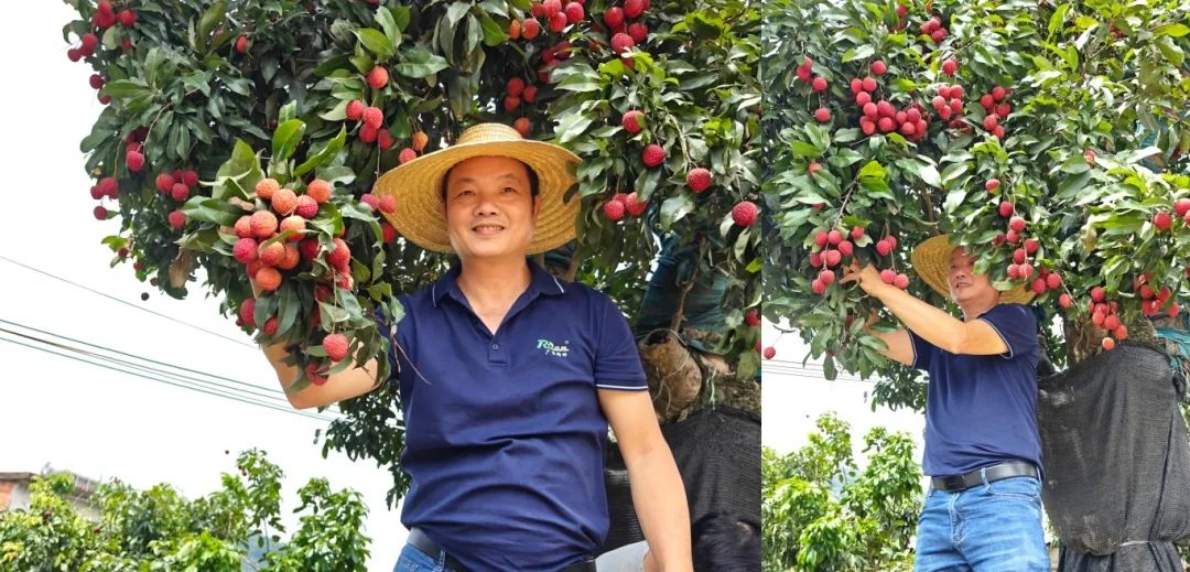 香港宝典正版资料