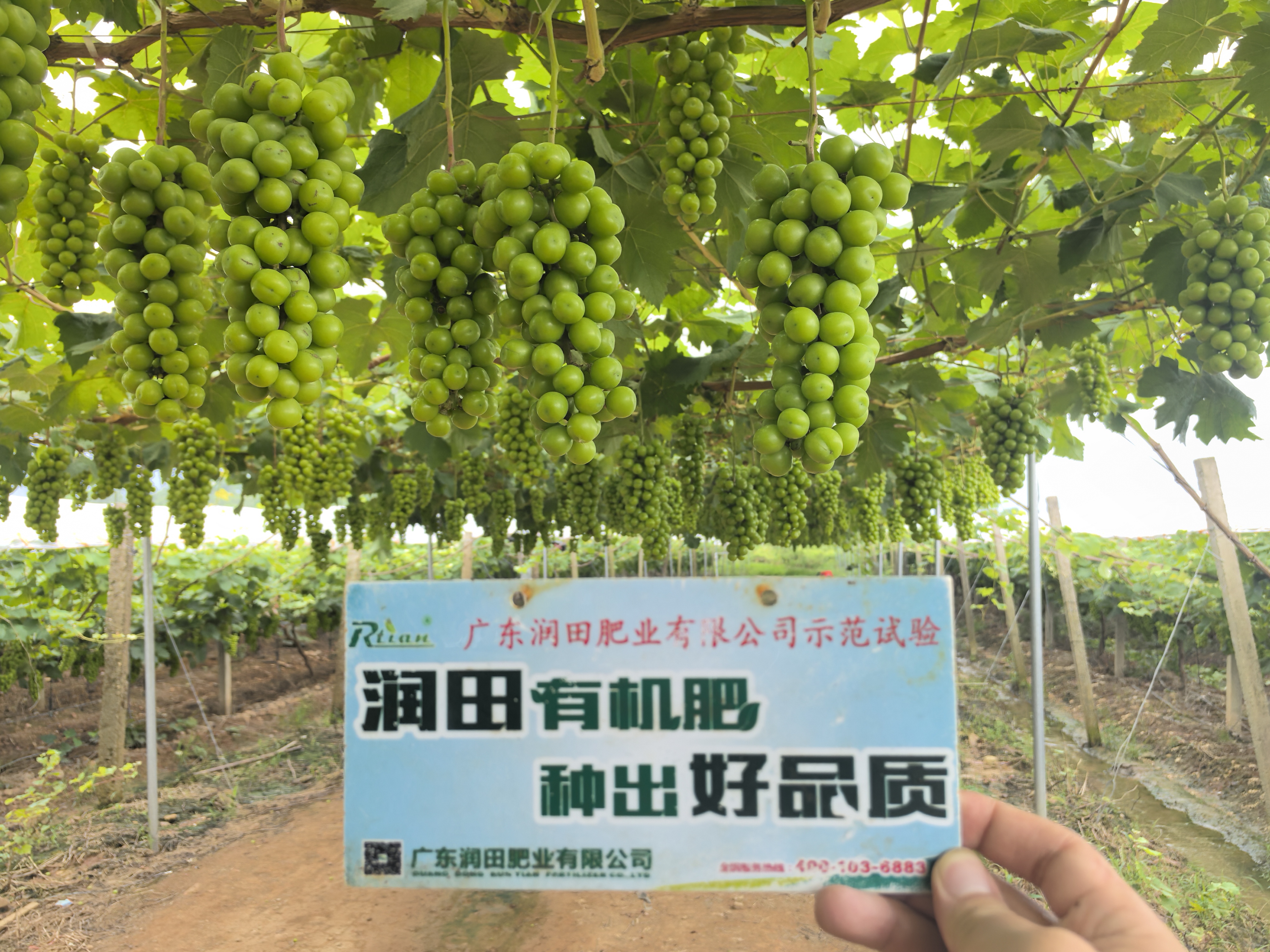 香港宝典正版资料