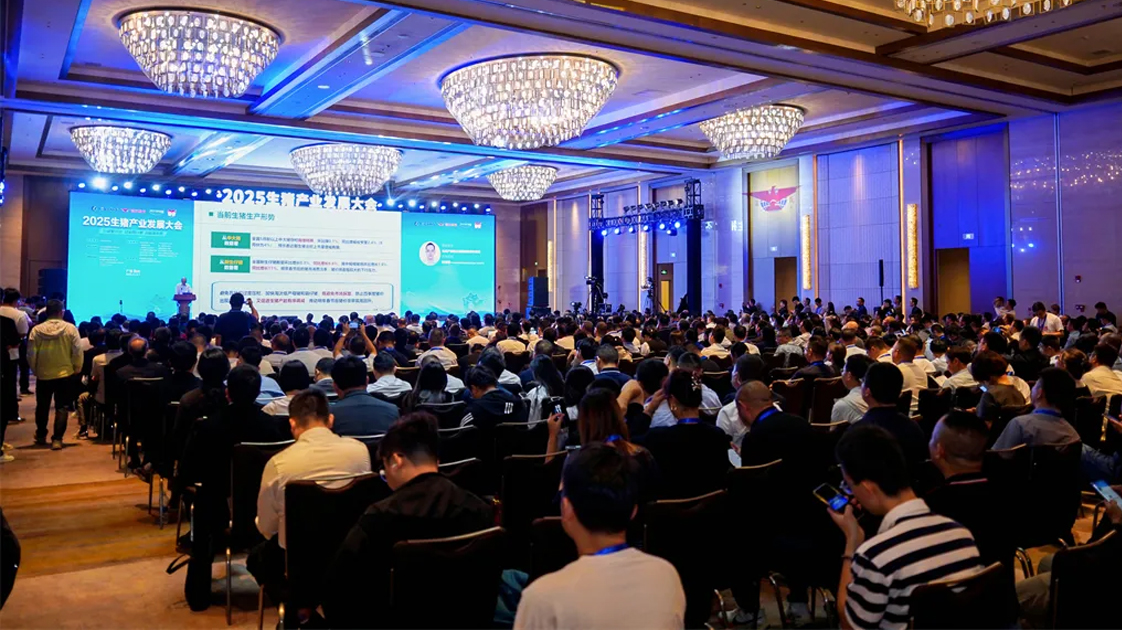 香港宝典正版资料