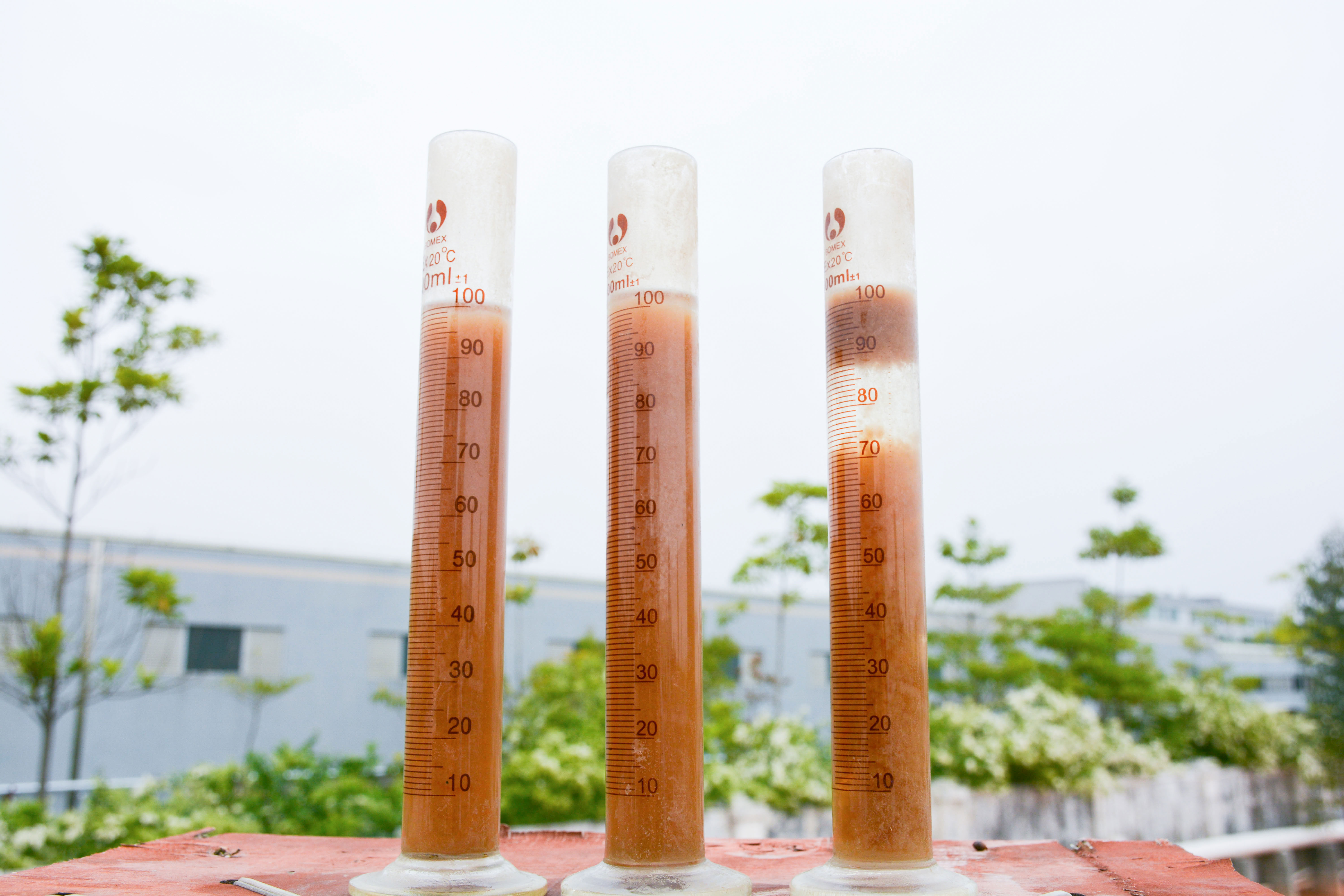 香港宝典正版资料