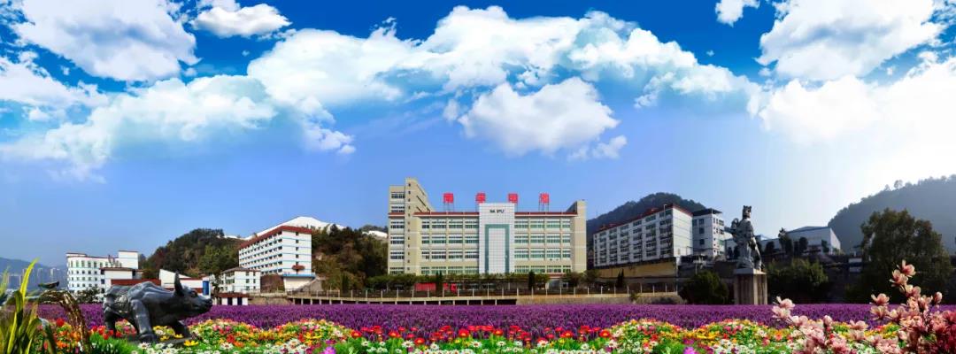 香港宝典正版资料